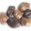 Half Pound Chocolate Covered Nuts Gift Box - Image 2