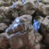 One Pound Chocolate Clusters Gift Box - Image 3